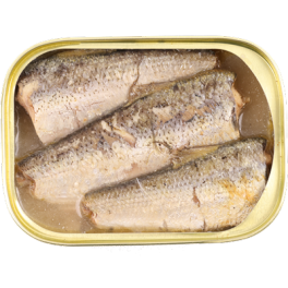 Sardines in Brine