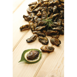 Dried Oysters