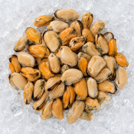 IQF Cooked Mussel Meat